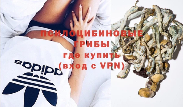 а пвп мука Алзамай
