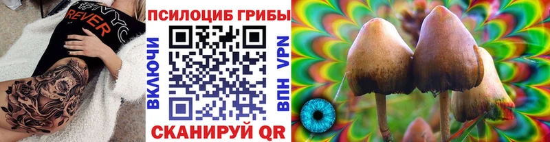 Купить где Змеиногорск Псилоцибиновые грибы ЛСД